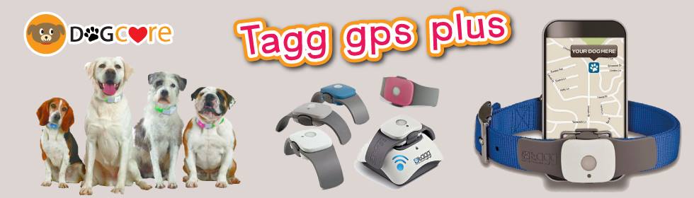 ปลอกคอติดตามสุนัข