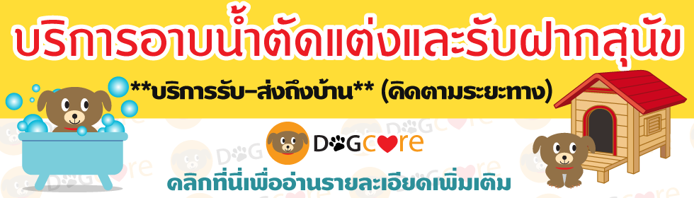 บริการอาบน้ำเพื่อและรับฝากสุนัข