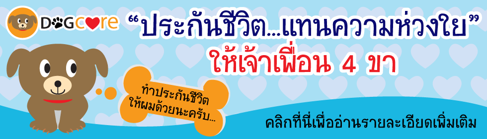 ประกันภัยสุนัข