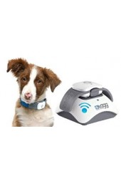 Tagg GPS Plus อุปกรณ์สำหรับติดที่ปลอกคอของสัตว์เลี้ยง  